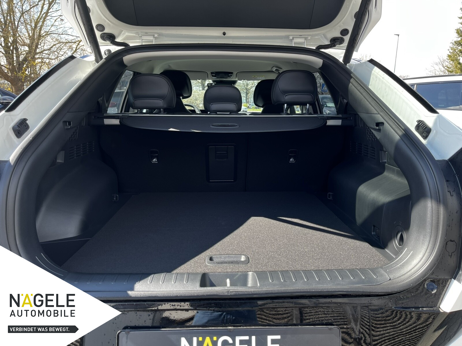 EV6 Elektro Earth, 84KWh, RWD|WP|Komf.|Drive
