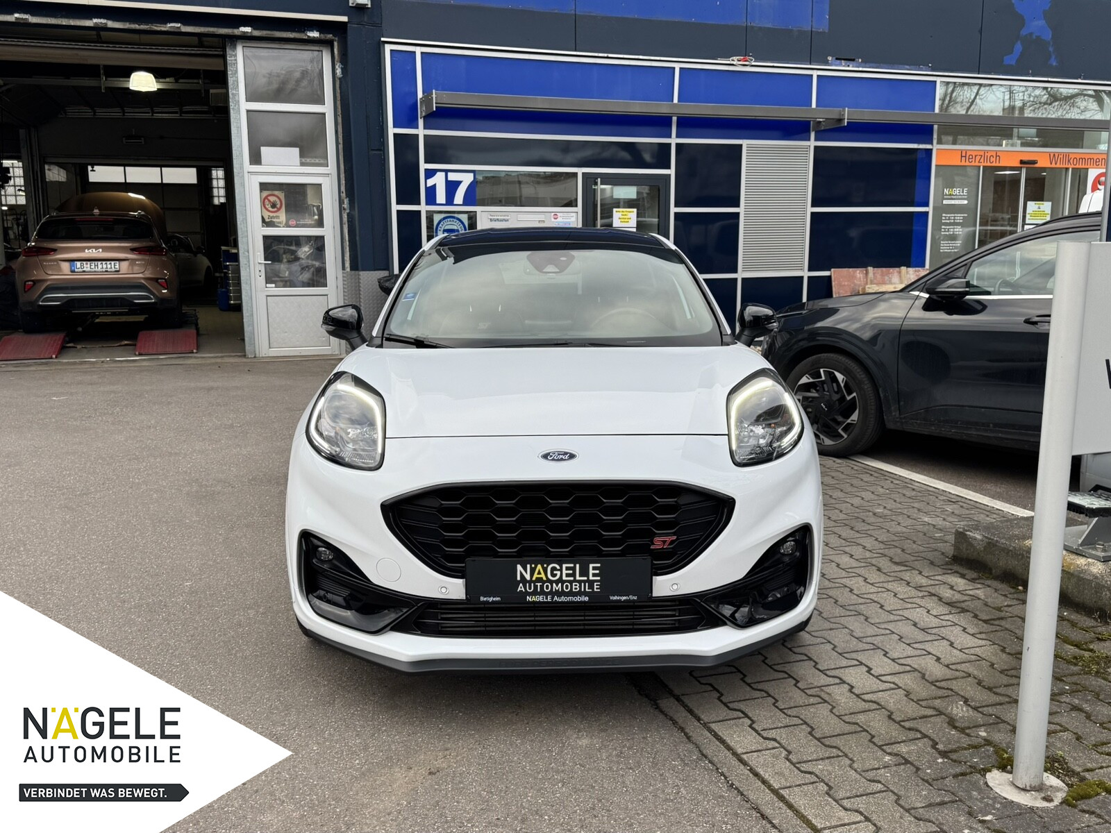 Puma ST 1.5 EcoBoost Navi | Lenkradheizung