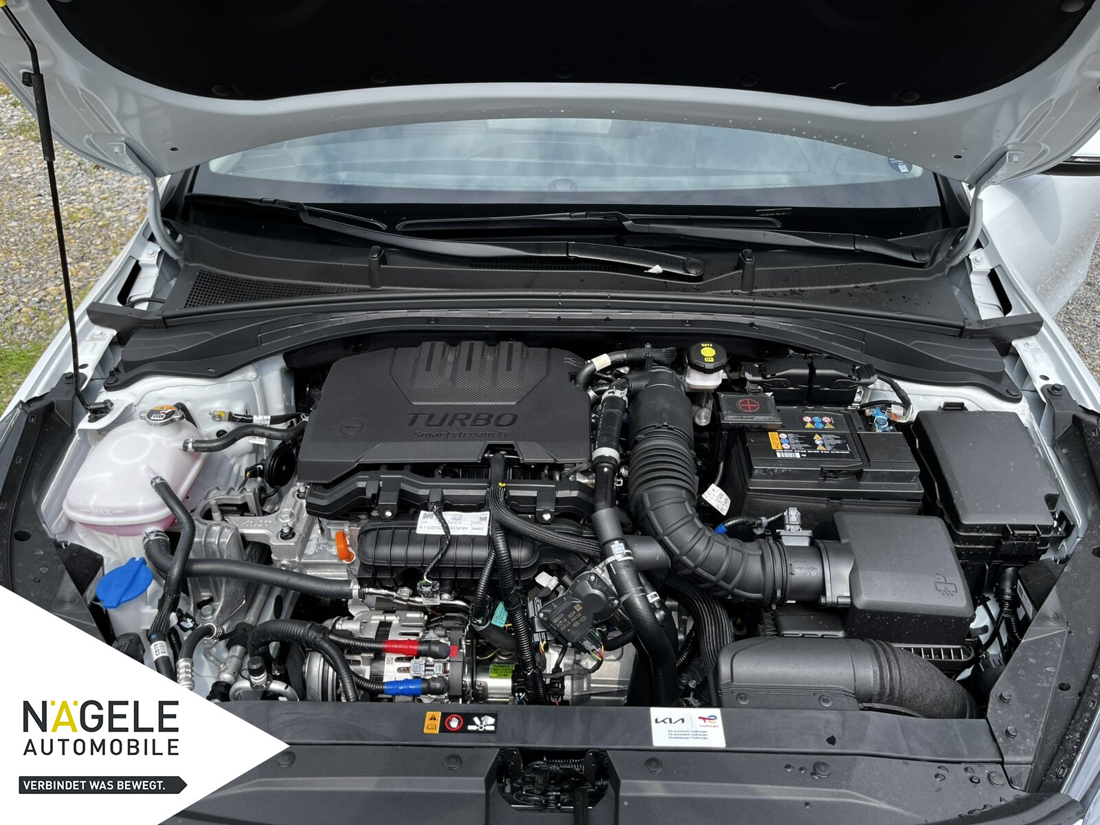 Ceed 1.0 T-GDI Automatik 48V Ultimate Edition BC
