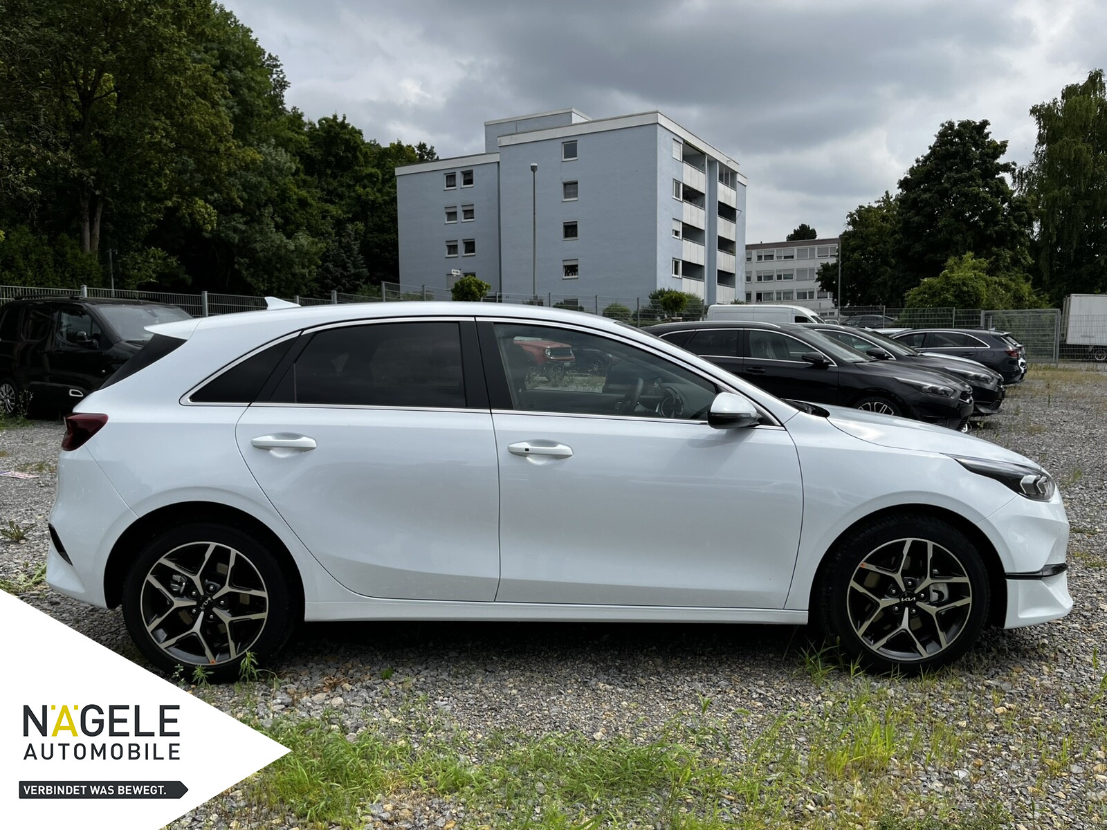 Ceed 1.0 T-GDI Automatik 48V Ultimate Edition BC