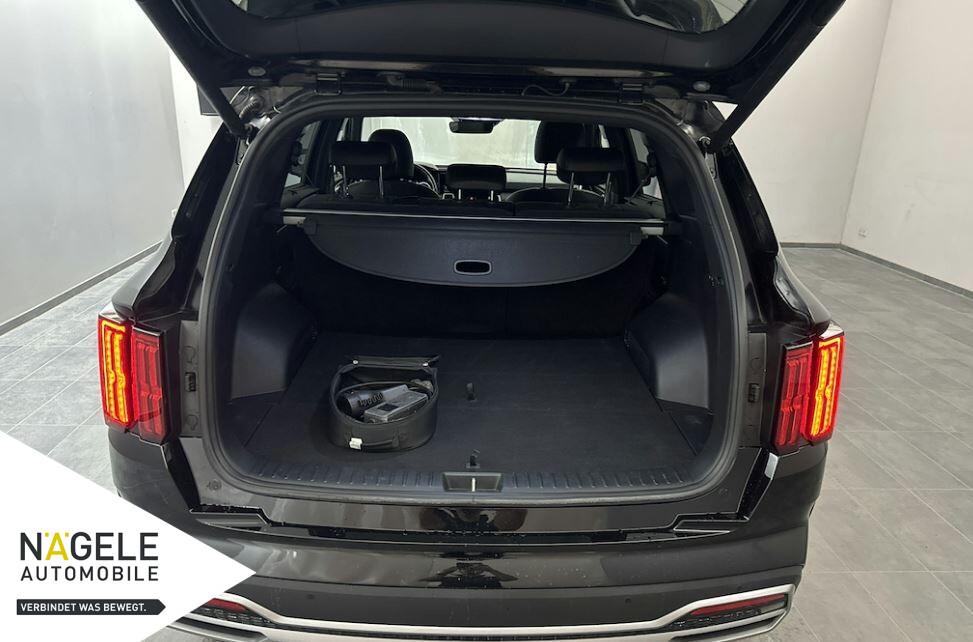 Sorento 1.6 T-GDI PHEV 4WD Platinum|NAPPA+PANO