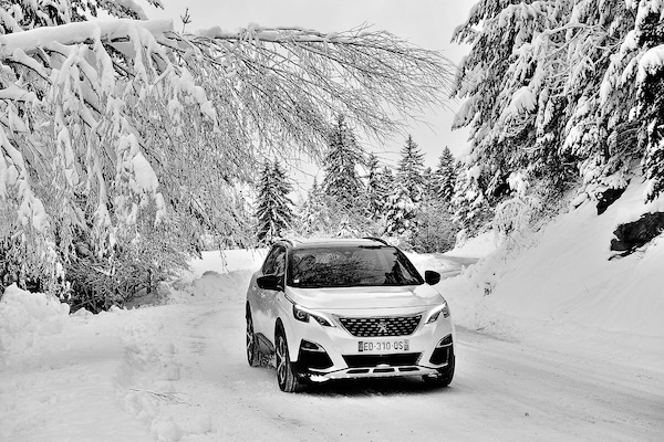 peugeot-winter