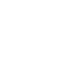 Hauptuntersuchung Icon