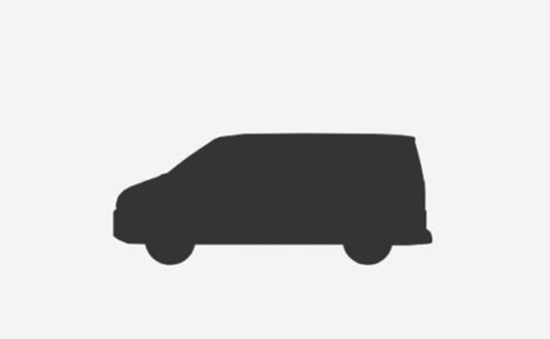 Peugeot-NFZ Bestand